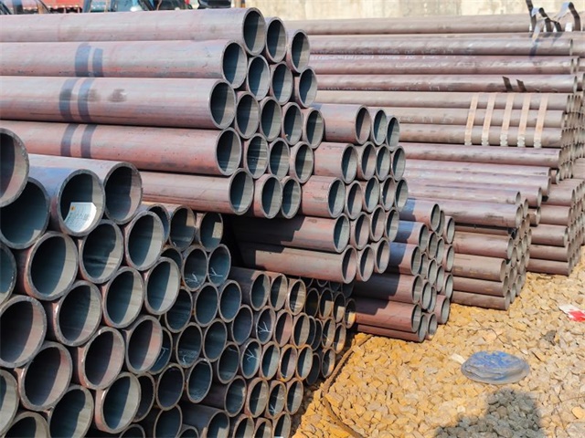 IMG_20230401_160900.jpg IMG_20230401_160900.jpg